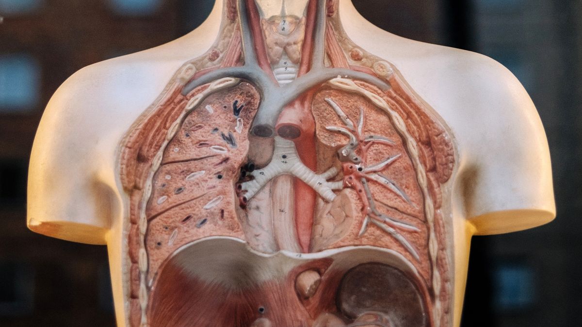 IBM Watson pomaga lekarzom: dopasowuje leczenie raka nie gorzej niż onkolog