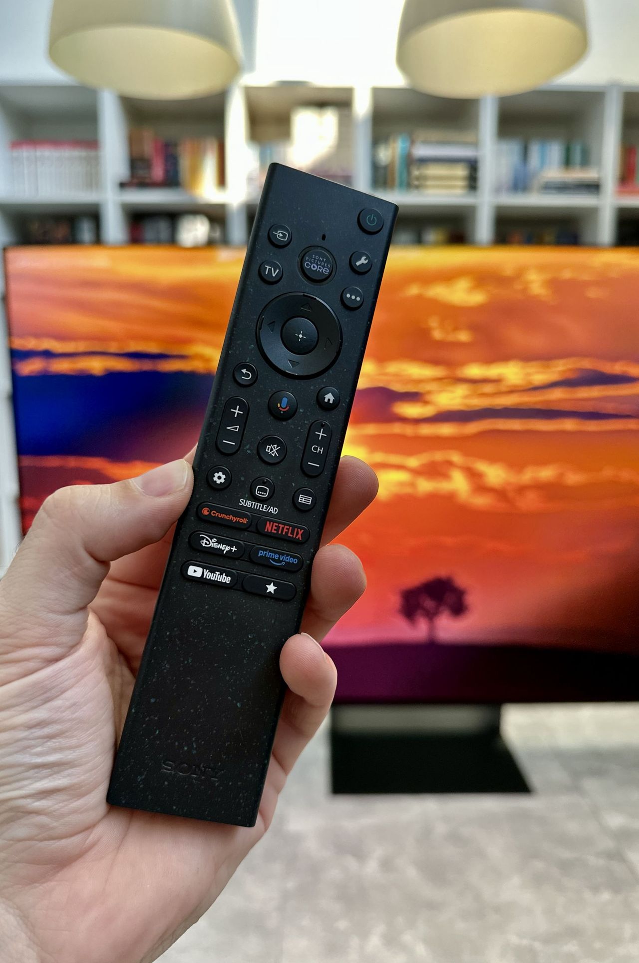 Sony BRAVIA 9 II