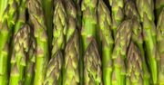 Czy szparagi można jeść na surowo? Wyjaśnijmy to raz na zawsze