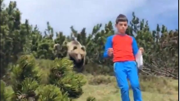 Chłopiec powoli oddalił się od idącego za nim niedźwiedzia