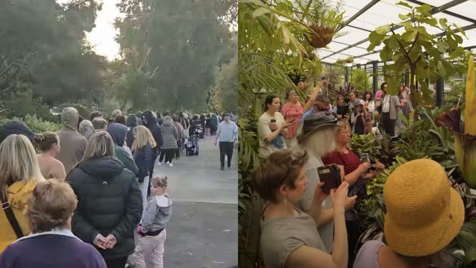 Kolejki ustawiają się od świtu