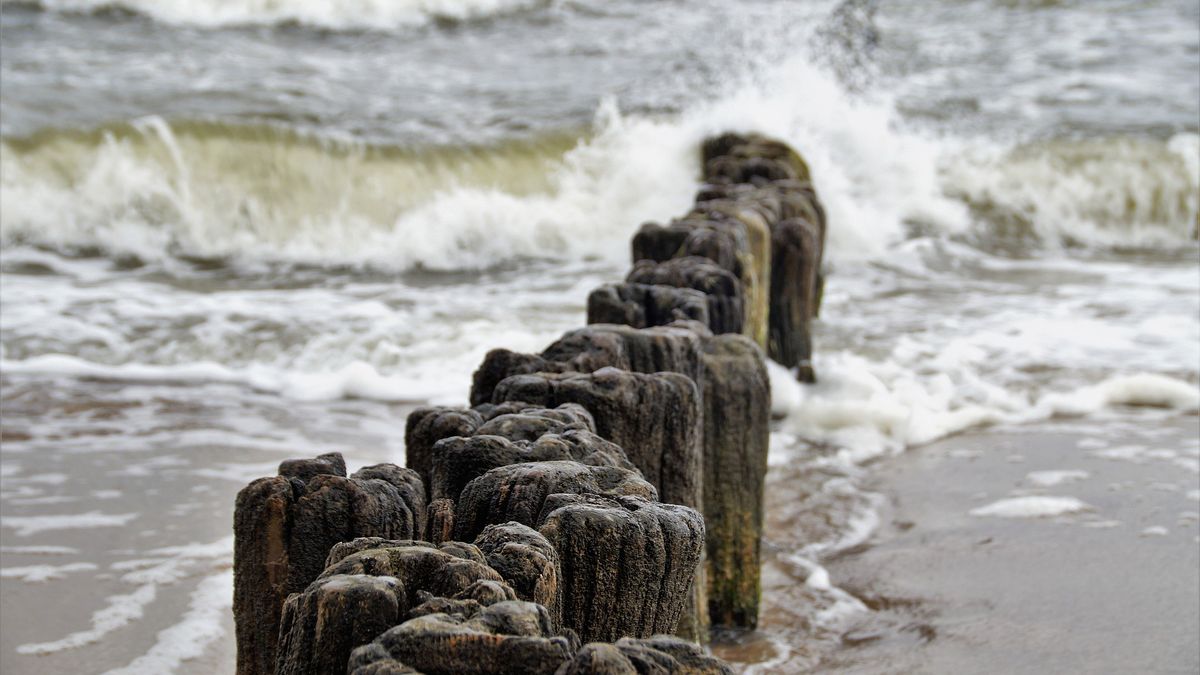 Pozostałości wojenne zatopione na dnie Bałtyku mogą grozić środowisku wodnemu przybrzeżnej flory i fauny 