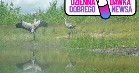 Natura znów zaskoczyła. Taki widok latem to rzadkość