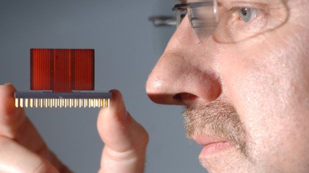 Elektroniczny nos - jak działa wąchająca maszyna 1