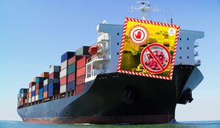 Tony truskawek z Egiptu z zakazem wjazdu. Oto co wykryły służby