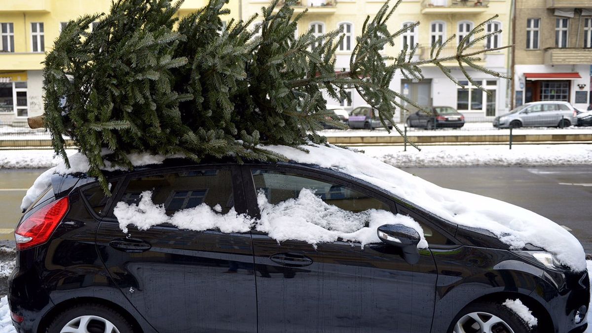 choinka na dachu auta/ zdjęcie ilustracyjne