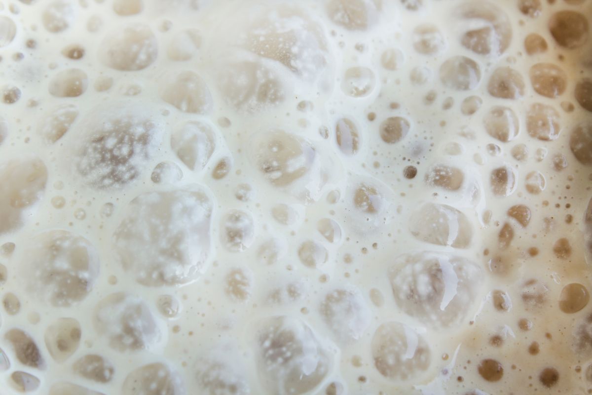 Podczas fermentacji ciasta drożdżowego dochodzi do nagromadzenia się gazów