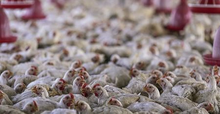 Naukowiec ostrzega przed kolejnym wirusem. Może być jeszcze groźniejszy