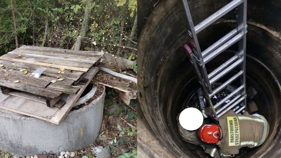 Nietypowa interwencja straży pożarnej w Gdańsku