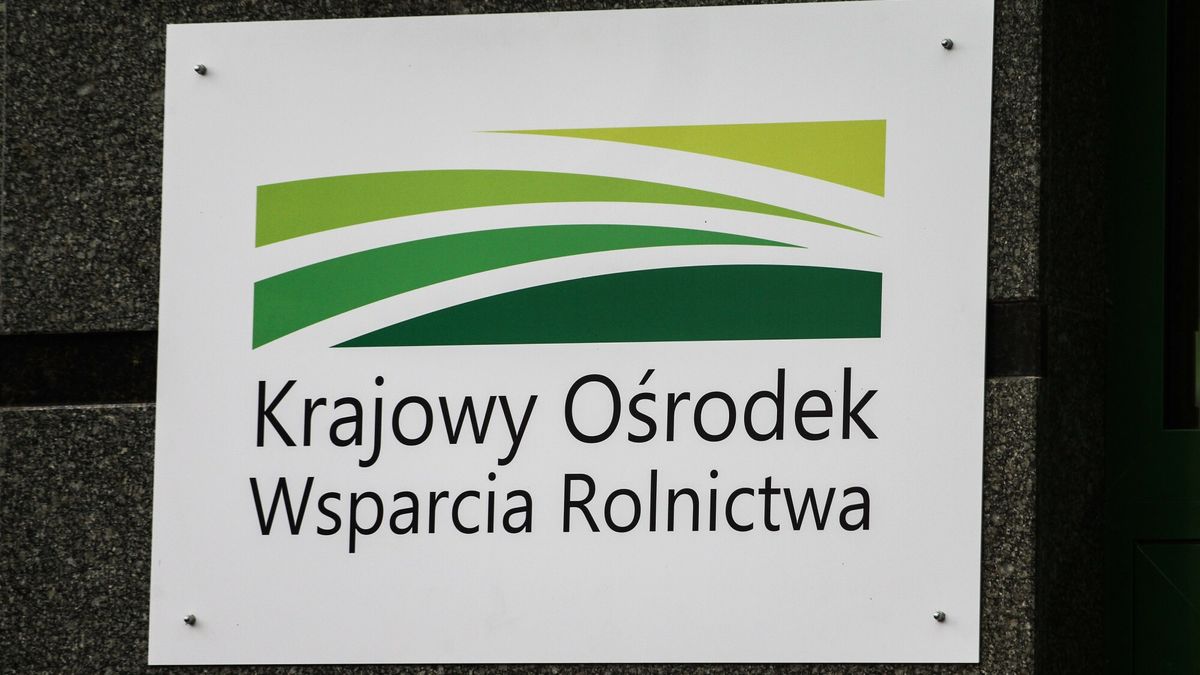 Reporter baza 2020-06-a
05.12.2017 Olsztyn N/z oddzial terenowy Krajowego Osrodka Wsparcia Rolnictwa fot. Artur Szczepanski/REPORTER
Artur Szczepanski/REPORTER