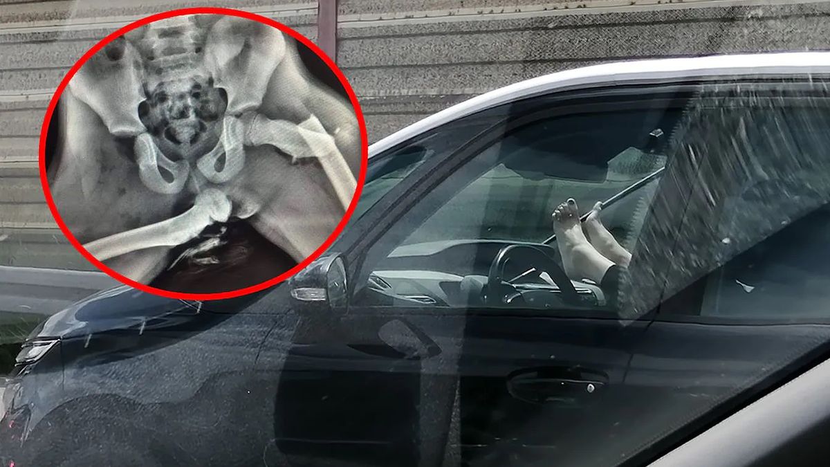 Częsty widok na trasie