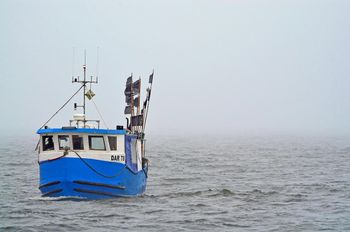 Normy przekroczone. Niepokojące wyniki badań ryb z Bałtyku