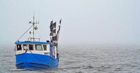 Normy przekroczone. Niepokojące wyniki badań ryb z Bałtyku