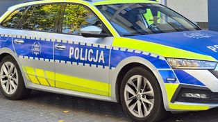 Atak psa w Płocku. Kobieta stanęła w obronie swojego pupila i trafiła do szpitala