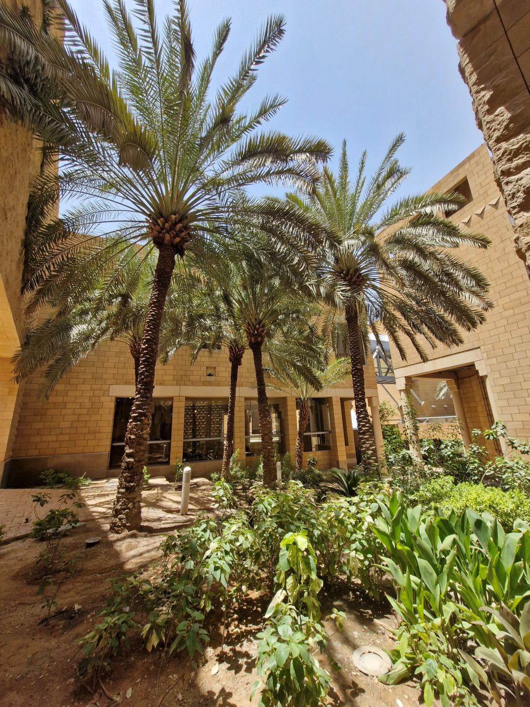 Rijad