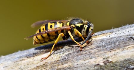 Kobieta przybiegła po pomoc. Dramat na A4 w Żernicy
