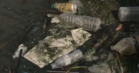 Ogromna ilość plastiku w morzach i oceanach. Ekolodzy z WWF alarmują i apelują do ONZ