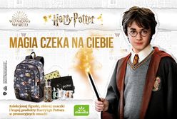 Był Lidl i Biedronka, przyszedł czas na Stokrotkę. Market stawia na... Harry’ego Pottera