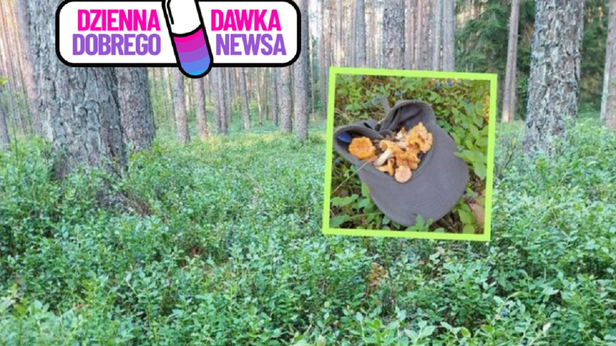 Leśnicy zachęcają Polaków