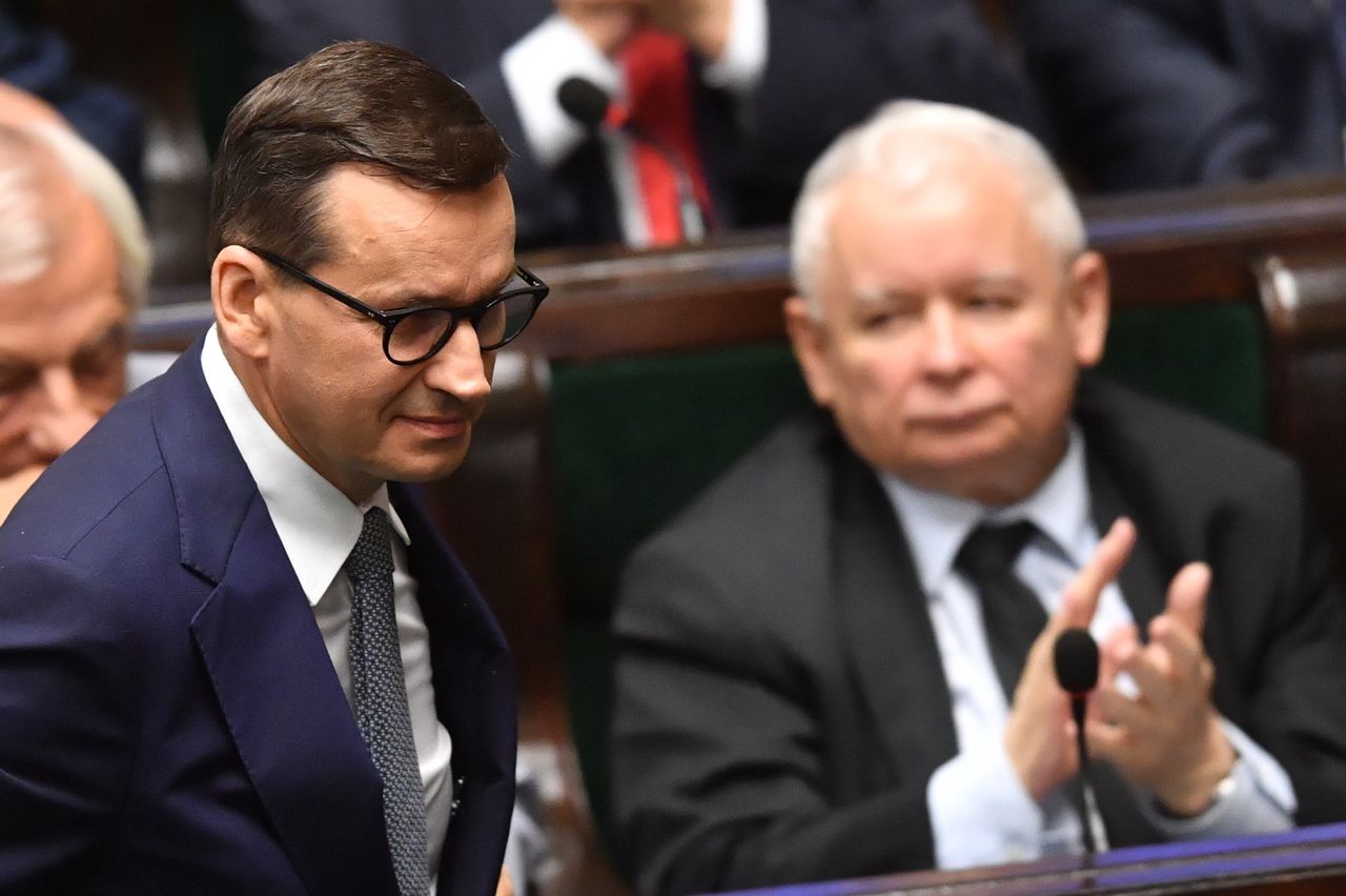 Nowy pomysł PiS. W sieci wrze