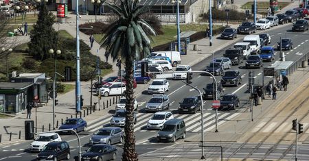 Warszawa. W sobotę palma na rondzie de Gaulle’a kończy 18 lat. Apel o życzenia