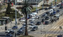 Warszawa. W sobotę palma na rondzie de Gaulle’a kończy 18 lat. Apel o życzenia