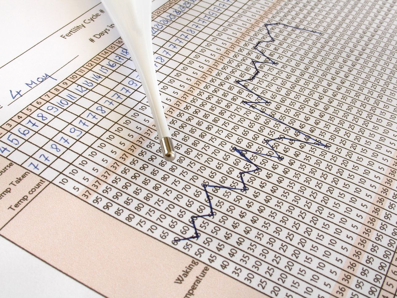 Pomiary temperatury ciała pozwala określić termin dni płodnych i owulacji 