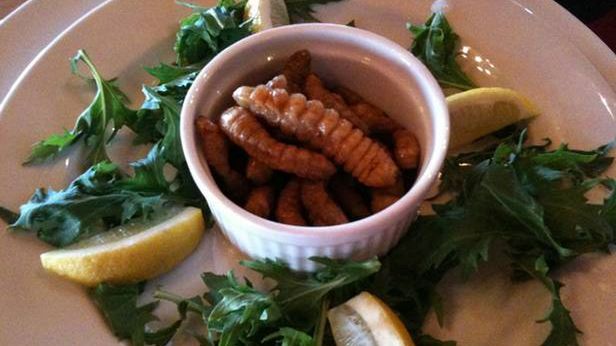 Chcesz być eko? Jedz robaki. I pamiętaj: krowa to wróg! 1