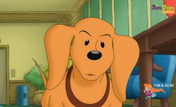 Polsat JimJam z czeską koncesją na 12 lat