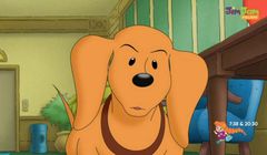 Polsat JimJam z czeską koncesją na 12 lat