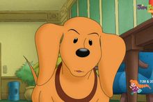 Kanał Polsat JimJam