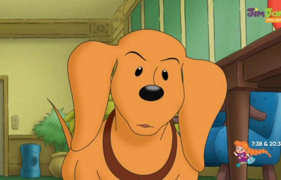 Polsat JimJam z czeską koncesją na 12 lat