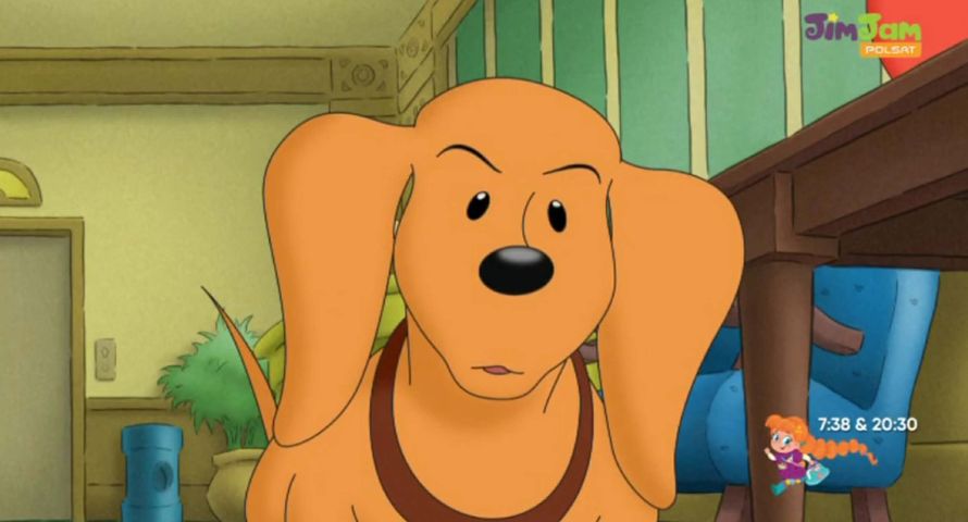 Polsat JimJam z czeską koncesją na 12 lat