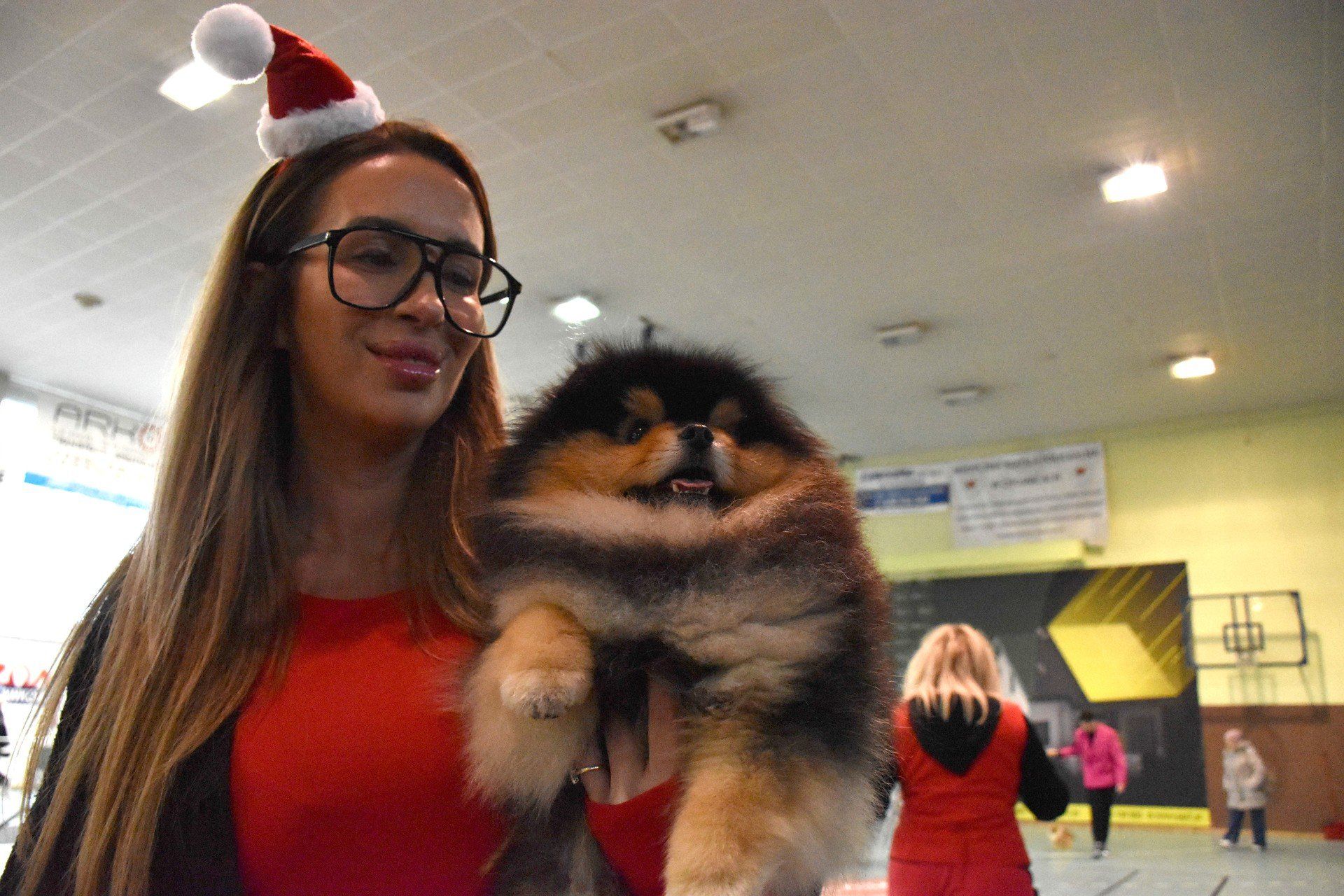 V Zimowa Wystawa Psów Rasowych w Chojnicach