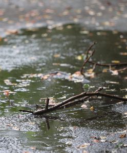 Alarm IMGW. Intensywne opady deszczu na Mazowszu