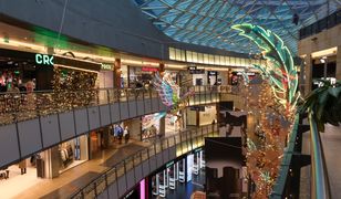 Zakupy w grudniu. Aż trzy handlowe niedziele