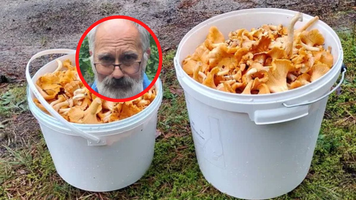 Na kurkach można zarobić najwięcej - twierdzi Wiesław Kamiński.