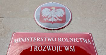 Rząd zajmie się zakazem sprzedaży przez internet niebezpiecznych środków