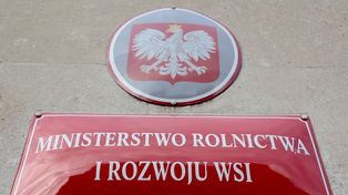 Rząd zajmie się zakazem sprzedaży przez internet niebezpiecznych środków