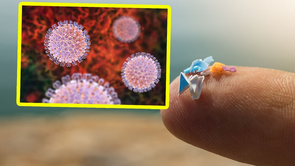 Niebezpieczne patogeny mogą żyć w wodzie na drobinach plastiku