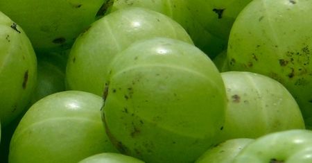 Kiedyś rósł w każdym ogródku, dziś mało kto pamięta, jak wygląda i smakuje. Najlepszy owoc na odchudzanie
