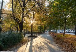 Pogoda. Zapowiada się wspaniały piątek. Nawet 18 stopni!