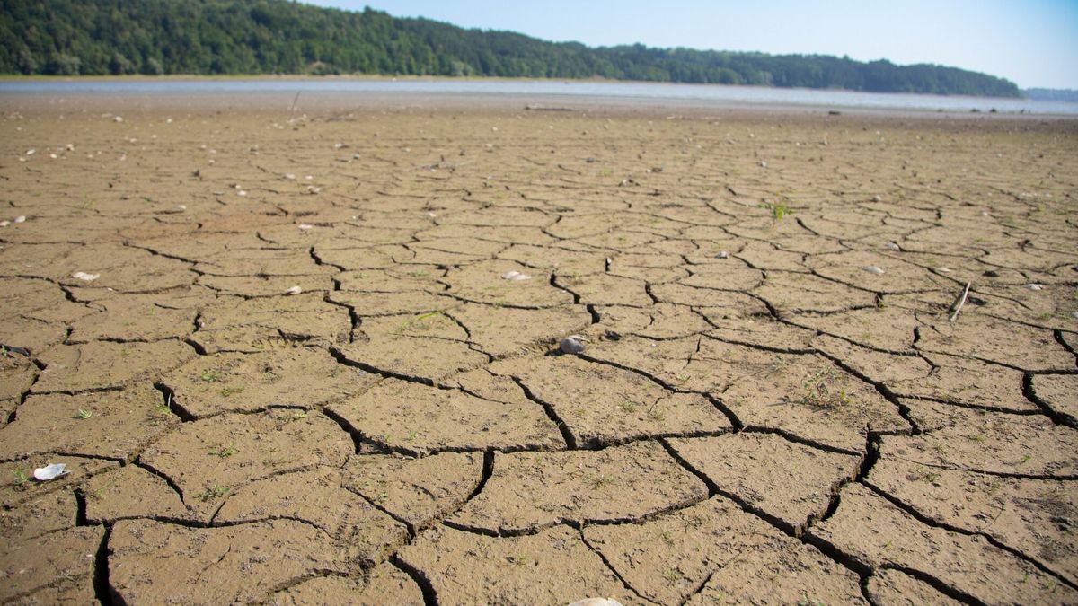 Zbiornik Dobczycki - ujęcie wody dla Krakowa. Rekordowo niski poziom wody w lipcu 2022 r. 