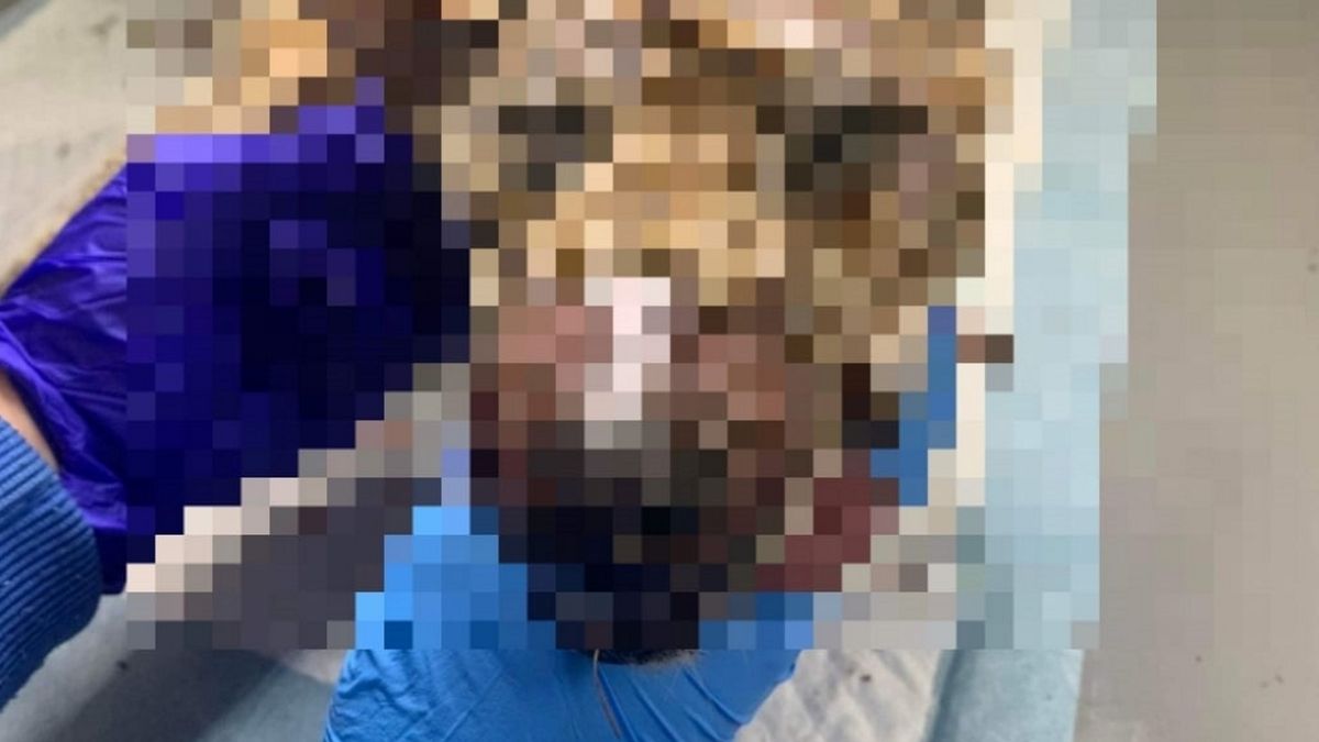 Pies został brutalnie zamordowany