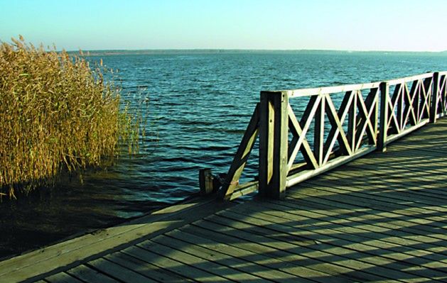 Słowiński Park Narodowy - wydmowy krajobraz