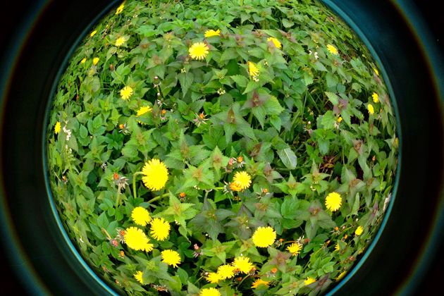Fisheye Pro, czyli emulator rybiego oka 6
