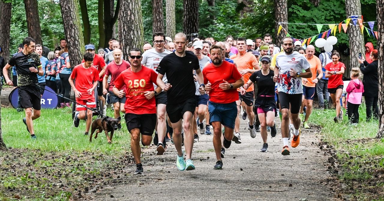 Bydgoszcz: Parkrun dla zdrowia. Wystarczą wygodne buty i dobre chęci.