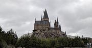 Wrocław. Harry Potter wpakował ich w kłopoty. Grozi im 5 lat więzienia