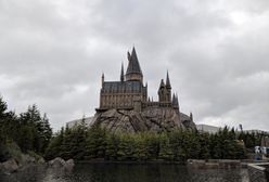 Wrocław. Harry Potter wpakował ich w kłopoty. Grozi im 5 lat więzienia