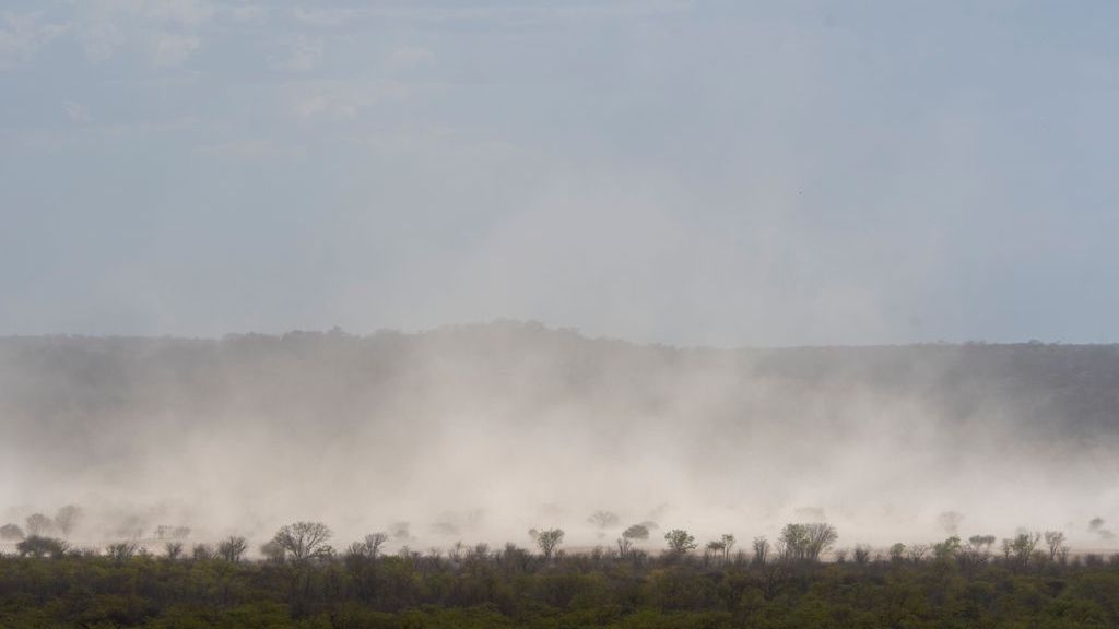 Burze piaskowe w Polsce. Skąd się biorą?